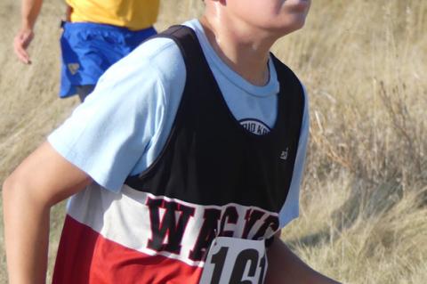 Article Image Alt Text