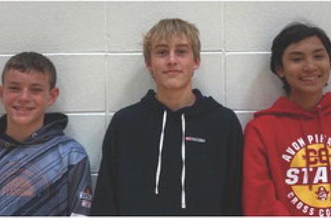 Article Image Alt Text