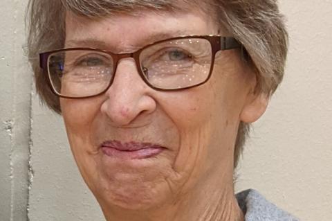 Article Image Alt Text