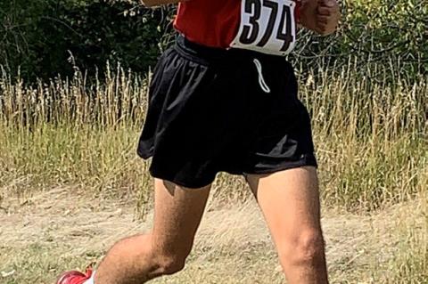 Article Image Alt Text