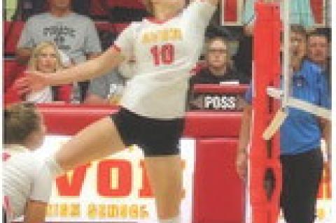 Article Image Alt Text