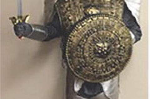 Article Image Alt Text