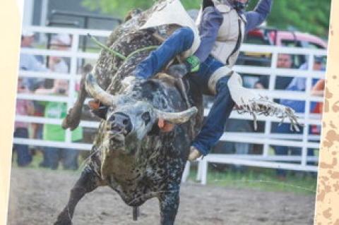 Article Image Alt Text