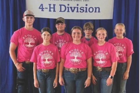 Article Image Alt Text