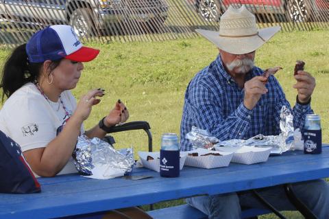 Article Image Alt Text