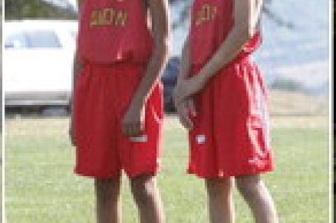 Article Image Alt Text