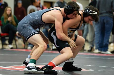 Article Image Alt Text