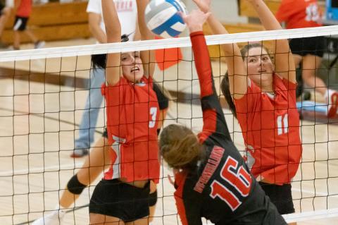 Article Image Alt Text