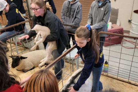 ANDES CENTRAL CELEBRATES FFA WEEK