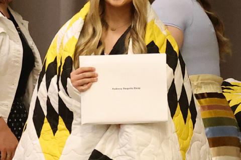 Article Image Alt Text