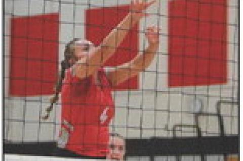 Article Image Alt Text