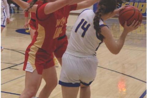 Article Image Alt Text