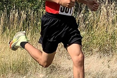 Article Image Alt Text