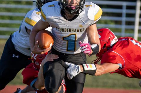 Article Image Alt Text