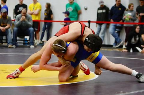 Article Image Alt Text