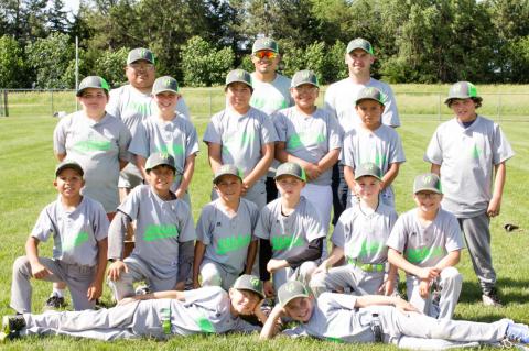 Article Image Alt Text