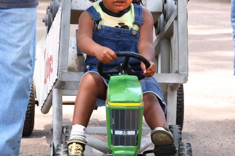 Article Image Alt Text