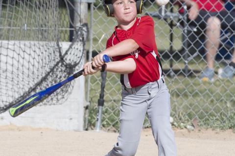 Article Image Alt Text