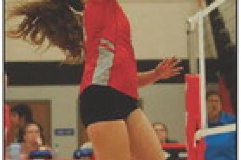 Article Image Alt Text