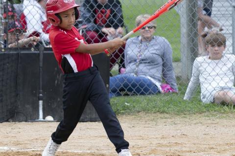 Article Image Alt Text