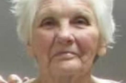 Article Image Alt Text