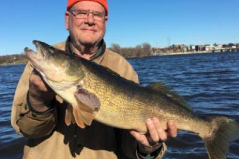 Article Image Alt Text