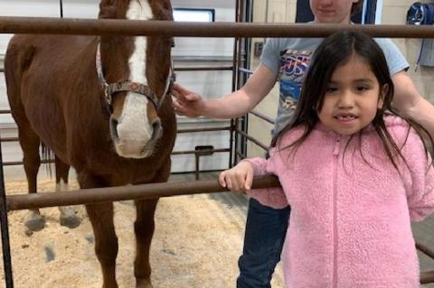 CELEBRATING FFA WEEK