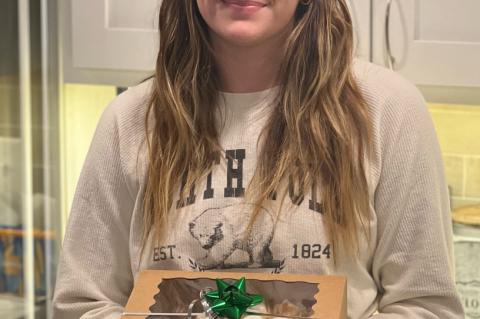 Article Image Alt Text