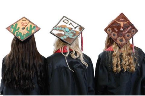 Article Image Alt Text