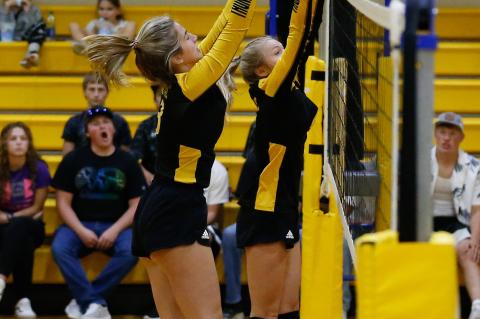 Article Image Alt Text