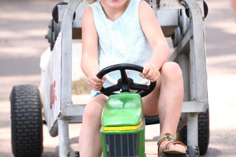 Article Image Alt Text