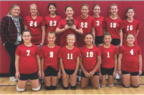 Article Image Alt Text