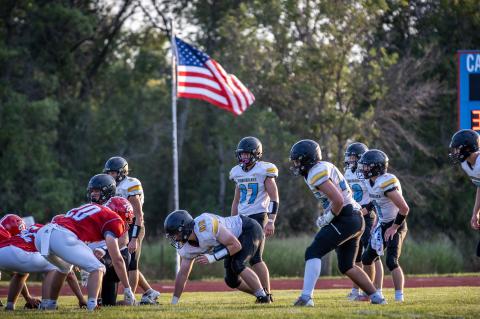 Article Image Alt Text