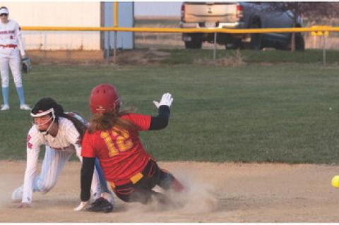 Article Image Alt Text