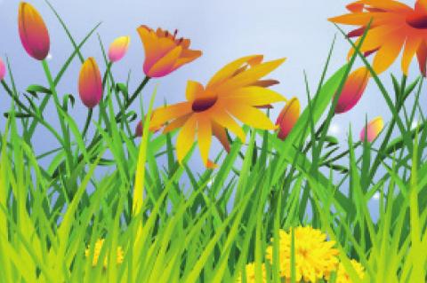 Community Gardens, What Do I Need to Know?