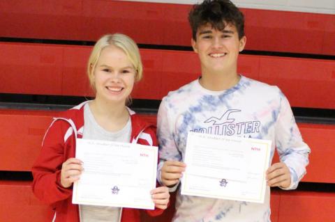 Article Image Alt Text