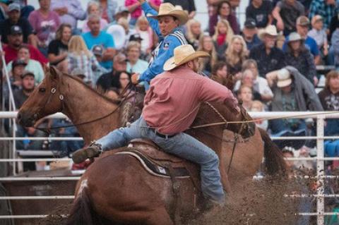 Article Image Alt Text