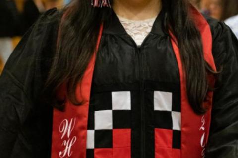 Article Image Alt Text