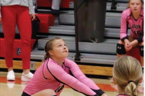 Article Image Alt Text