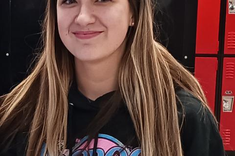 Article Image Alt Text