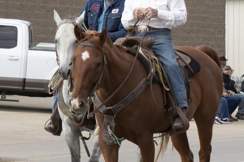 Article Image Alt Text