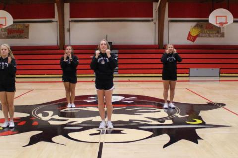 Article Image Alt Text