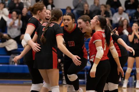 Article Image Alt Text