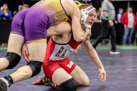 Article Image Alt Text