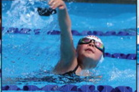 Article Image Alt Text