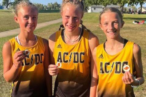 Article Image Alt Text