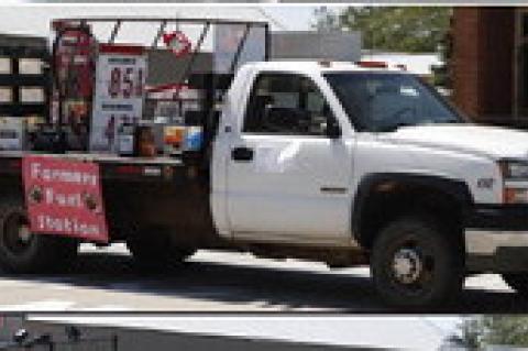 Article Image Alt Text