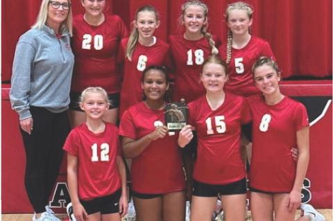 Article Image Alt Text