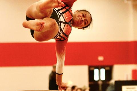 Article Image Alt Text