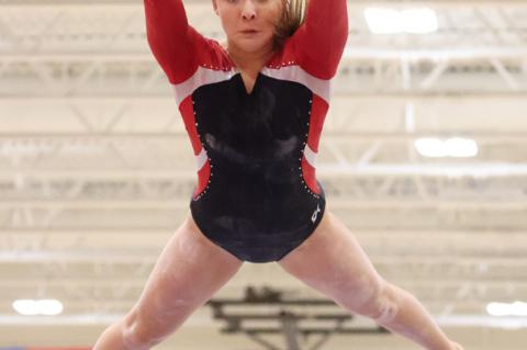 Article Image Alt Text